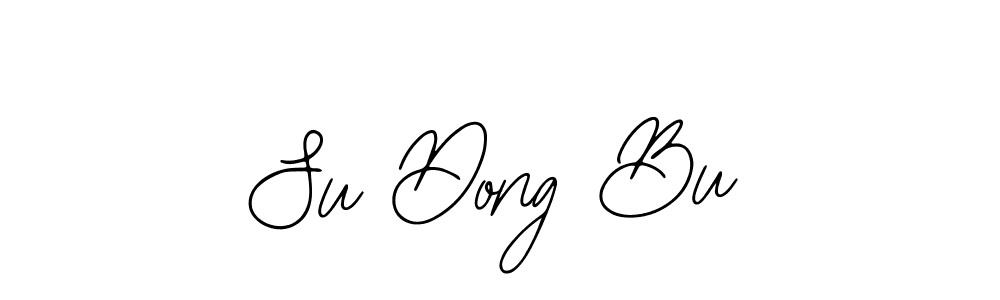 You should practise on your own different ways (Bearetta-2O07w) to write your name (Su Dong Bu) in signature. don't let someone else do it for you. Su Dong Bu signature style 12 images and pictures png