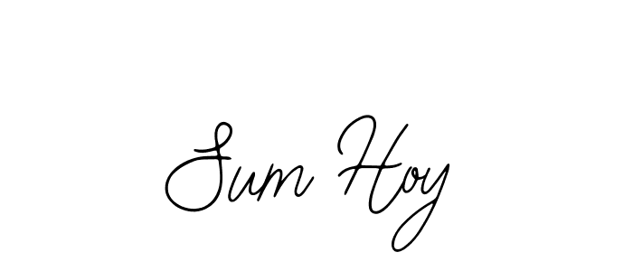 You should practise on your own different ways (Bearetta-2O07w) to write your name (Sum Hoy) in signature. don't let someone else do it for you. Sum Hoy signature style 12 images and pictures png