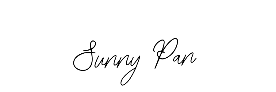 Use a signature maker to create a handwritten signature online. With this signature software, you can design (Bearetta-2O07w) your own signature for name Sunny Pan. Sunny Pan signature style 12 images and pictures png
