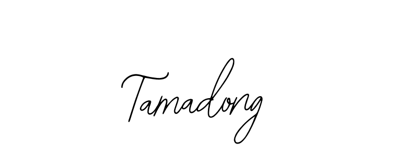 How to make Tamadong signature? Bearetta-2O07w is a professional autograph style. Create handwritten signature for Tamadong name. Tamadong signature style 12 images and pictures png