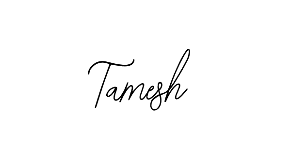 You should practise on your own different ways (Bearetta-2O07w) to write your name (Tamesh) in signature. don't let someone else do it for you. Tamesh signature style 12 images and pictures png