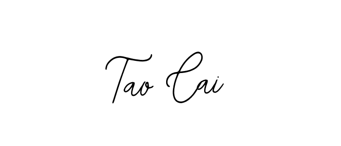 It looks lik you need a new signature style for name Tao Cai. Design unique handwritten (Bearetta-2O07w) signature with our free signature maker in just a few clicks. Tao Cai signature style 12 images and pictures png