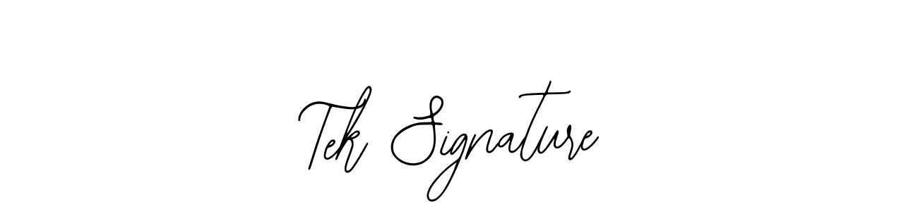 Use a signature maker to create a handwritten signature online. With this signature software, you can design (Bearetta-2O07w) your own signature for name Tek Signature. Tek Signature signature style 12 images and pictures png