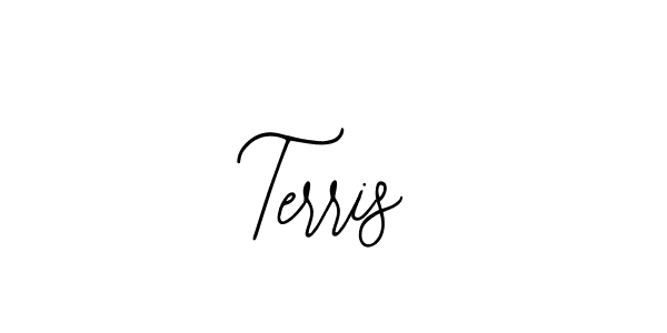 Design your own signature with our free online signature maker. With this signature software, you can create a handwritten (Bearetta-2O07w) signature for name Terris. Terris signature style 12 images and pictures png