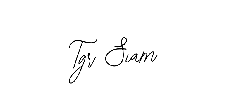 You should practise on your own different ways (Bearetta-2O07w) to write your name (Tgr Siam) in signature. don't let someone else do it for you. Tgr Siam signature style 12 images and pictures png