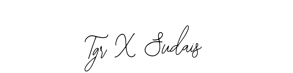 Best and Professional Signature Style for Tgr X Sudais. Bearetta-2O07w Best Signature Style Collection. Tgr X Sudais signature style 12 images and pictures png