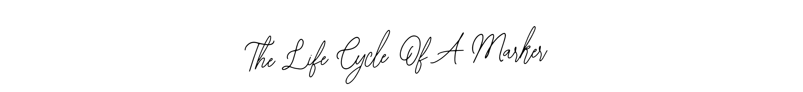How to Draw The Life Cycle Of A Marker signature style? Bearetta-2O07w is a latest design signature styles for name The Life Cycle Of A Marker. The Life Cycle Of A Marker signature style 12 images and pictures png