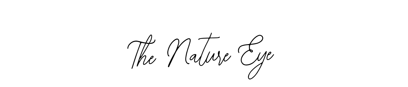 Best and Professional Signature Style for The Nature Eye. Bearetta-2O07w Best Signature Style Collection. The Nature Eye signature style 12 images and pictures png