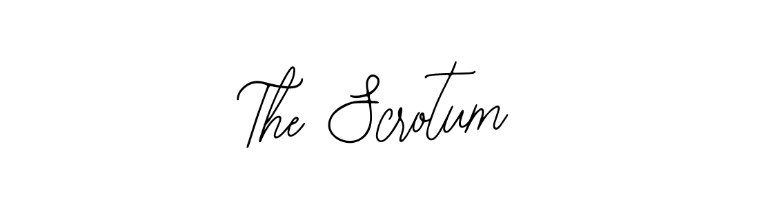 How to make The Scrotum signature? Bearetta-2O07w is a professional autograph style. Create handwritten signature for The Scrotum name. The Scrotum signature style 12 images and pictures png