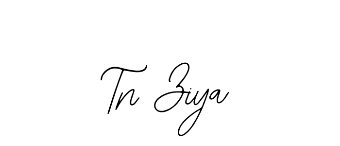 Design your own signature with our free online signature maker. With this signature software, you can create a handwritten (Bearetta-2O07w) signature for name Tn Ziya. Tn Ziya signature style 12 images and pictures png