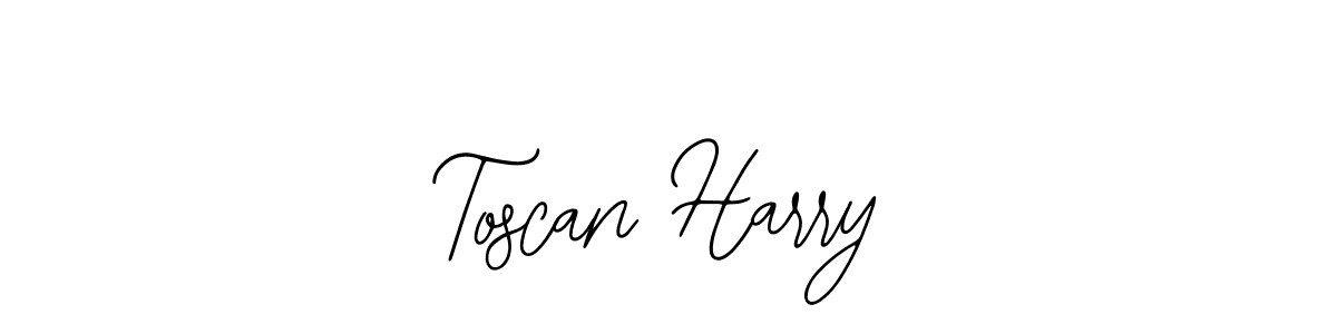 You should practise on your own different ways (Bearetta-2O07w) to write your name (Toscan Harry) in signature. don't let someone else do it for you. Toscan Harry signature style 12 images and pictures png