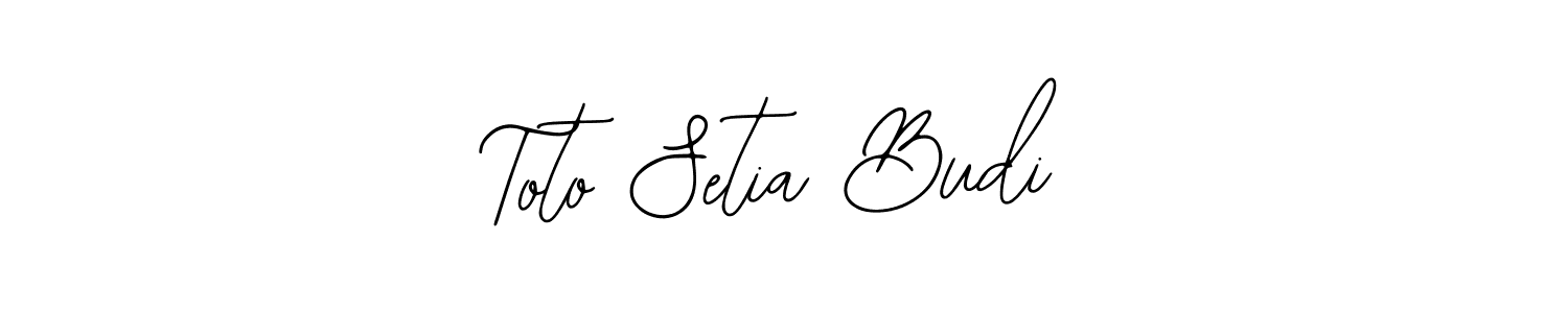 You should practise on your own different ways (Bearetta-2O07w) to write your name (Toto Setia Budi) in signature. don't let someone else do it for you. Toto Setia Budi signature style 12 images and pictures png