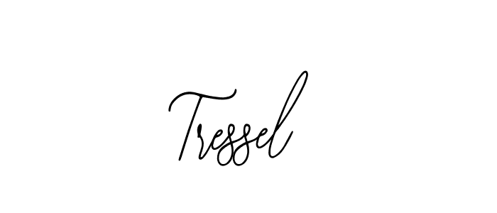 Design your own signature with our free online signature maker. With this signature software, you can create a handwritten (Bearetta-2O07w) signature for name Tressel. Tressel signature style 12 images and pictures png