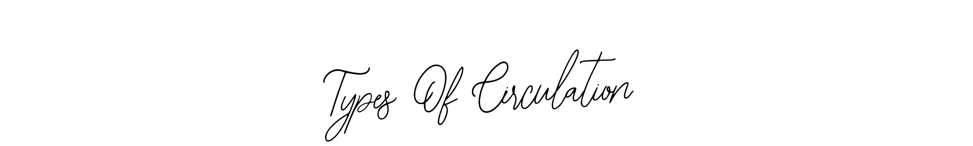 This is the best signature style for the Types Of Circulation name. Also you like these signature font (Bearetta-2O07w). Mix name signature. Types Of Circulation signature style 12 images and pictures png