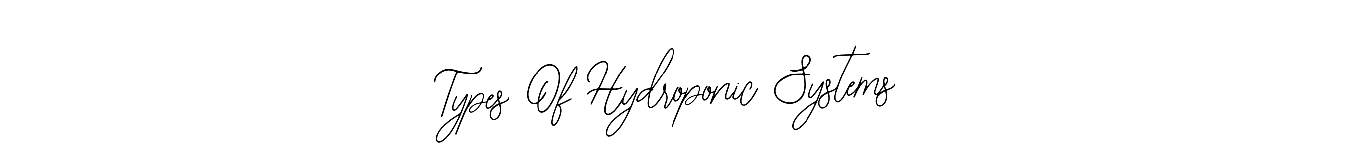 How to make Types Of Hydroponic Systems name signature. Use Bearetta-2O07w style for creating short signs online. This is the latest handwritten sign. Types Of Hydroponic Systems signature style 12 images and pictures png