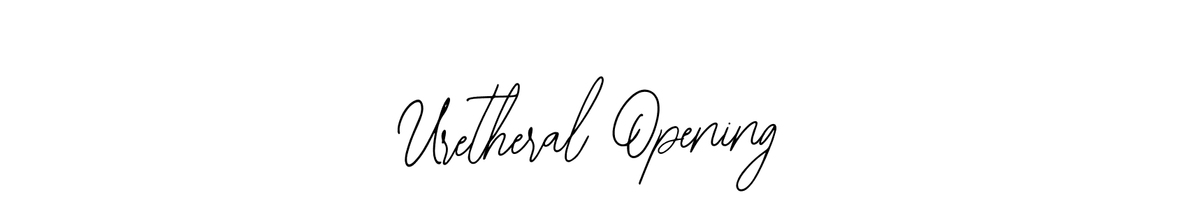 Here are the top 10 professional signature styles for the name Uretheral Opening. These are the best autograph styles you can use for your name. Uretheral Opening signature style 12 images and pictures png