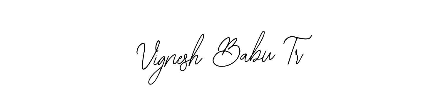 Make a beautiful signature design for name Vignesh Babu Tr. Use this online signature maker to create a handwritten signature for free. Vignesh Babu Tr signature style 12 images and pictures png