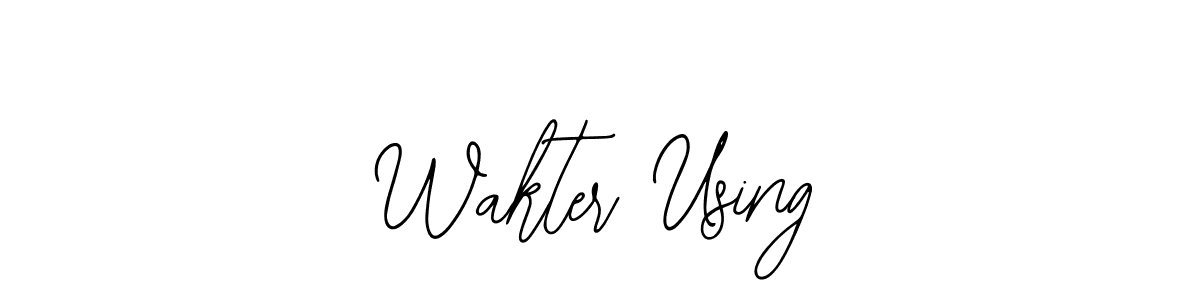 See photos of Wakter Using official signature by Spectra . Check more albums & portfolios. Read reviews & check more about Bearetta-2O07w font. Wakter Using signature style 12 images and pictures png