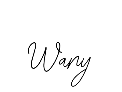 Design your own signature with our free online signature maker. With this signature software, you can create a handwritten (Bearetta-2O07w) signature for name Wany. Wany signature style 12 images and pictures png