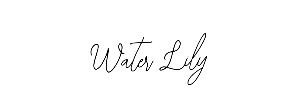 You should practise on your own different ways (Bearetta-2O07w) to write your name (Water Lily) in signature. don't let someone else do it for you. Water Lily signature style 12 images and pictures png
