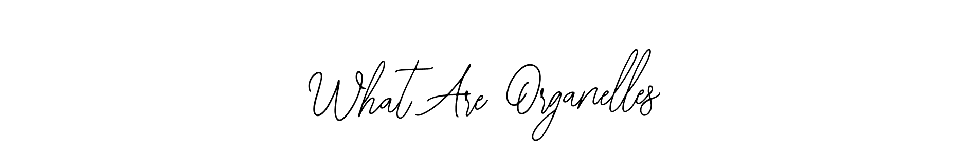 What Are Organelles stylish signature style. Best Handwritten Sign (Bearetta-2O07w) for my name. Handwritten Signature Collection Ideas for my name What Are Organelles. What Are Organelles signature style 12 images and pictures png