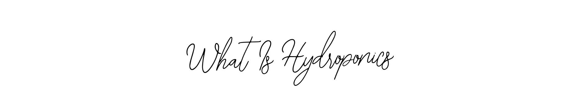 Also we have What Is Hydroponics name is the best signature style. Create professional handwritten signature collection using Bearetta-2O07w autograph style. What Is Hydroponics signature style 12 images and pictures png