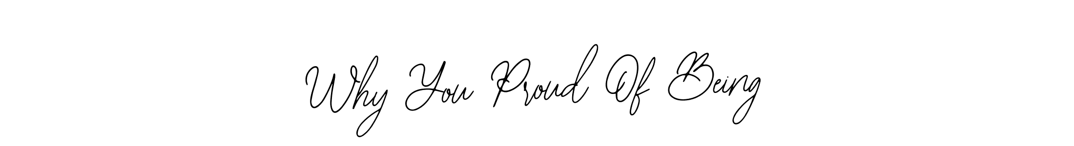 Make a beautiful signature design for name Why You Proud Of Being. Use this online signature maker to create a handwritten signature for free. Why You Proud Of Being signature style 12 images and pictures png