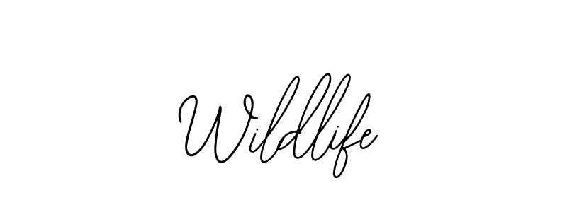 Similarly Bearetta-2O07w is the best handwritten signature design. Signature creator online .You can use it as an online autograph creator for name Wildlife. Wildlife signature style 12 images and pictures png