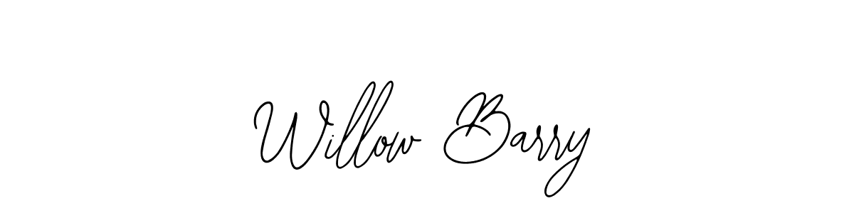 Make a beautiful signature design for name Willow Barry. With this signature (Bearetta-2O07w) style, you can create a handwritten signature for free. Willow Barry signature style 12 images and pictures png