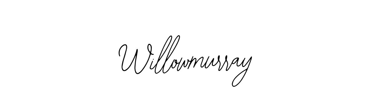 Best and Professional Signature Style for Willowmurray. Bearetta-2O07w Best Signature Style Collection. Willowmurray signature style 12 images and pictures png