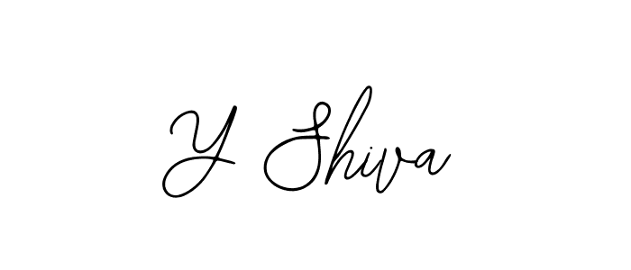 Here are the top 10 professional signature styles for the name Y Shiva. These are the best autograph styles you can use for your name. Y Shiva signature style 12 images and pictures png