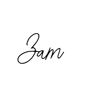 Create a beautiful signature design for name Zam. With this signature (Bearetta-2O07w) fonts, you can make a handwritten signature for free. Zam signature style 12 images and pictures png