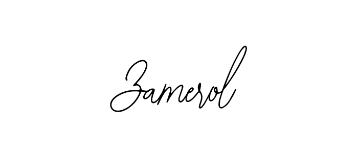 Make a beautiful signature design for name Zamerol. Use this online signature maker to create a handwritten signature for free. Zamerol signature style 12 images and pictures png