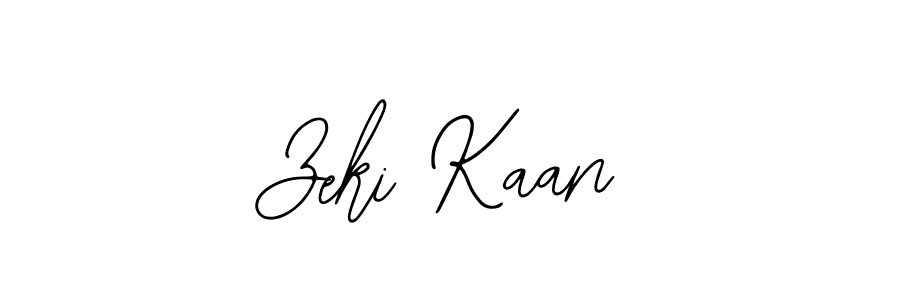 You should practise on your own different ways (Bearetta-2O07w) to write your name (Zeki Kaan) in signature. don't let someone else do it for you. Zeki Kaan signature style 12 images and pictures png