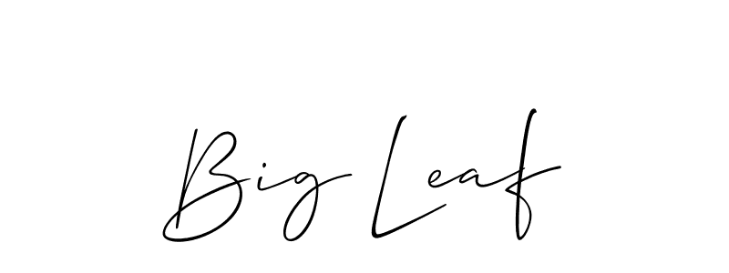 Make a beautiful signature design for name Big Leaf. Use this online signature maker to create a handwritten signature for free. Big Leaf signature style 2 images and pictures png