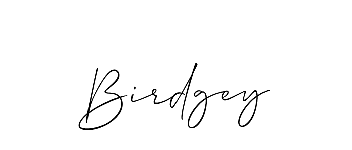 Make a beautiful signature design for name Birdgey. With this signature (Allison_Script) style, you can create a handwritten signature for free. Birdgey signature style 2 images and pictures png