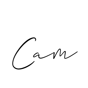 Also we have Cam name is the best signature style. Create professional handwritten signature collection using Allison_Script autograph style. Cam signature style 2 images and pictures png