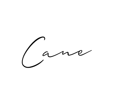 Here are the top 10 professional signature styles for the name Cane. These are the best autograph styles you can use for your name. Cane signature style 2 images and pictures png