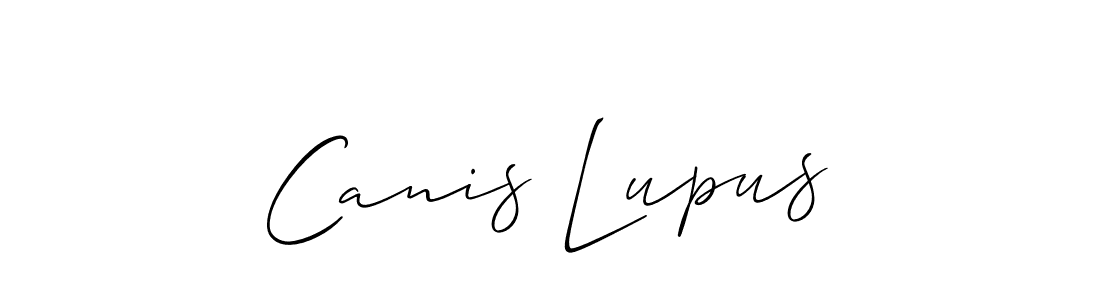 How to make Canis Lupus signature? Allison_Script is a professional autograph style. Create handwritten signature for Canis Lupus name. Canis Lupus signature style 2 images and pictures png