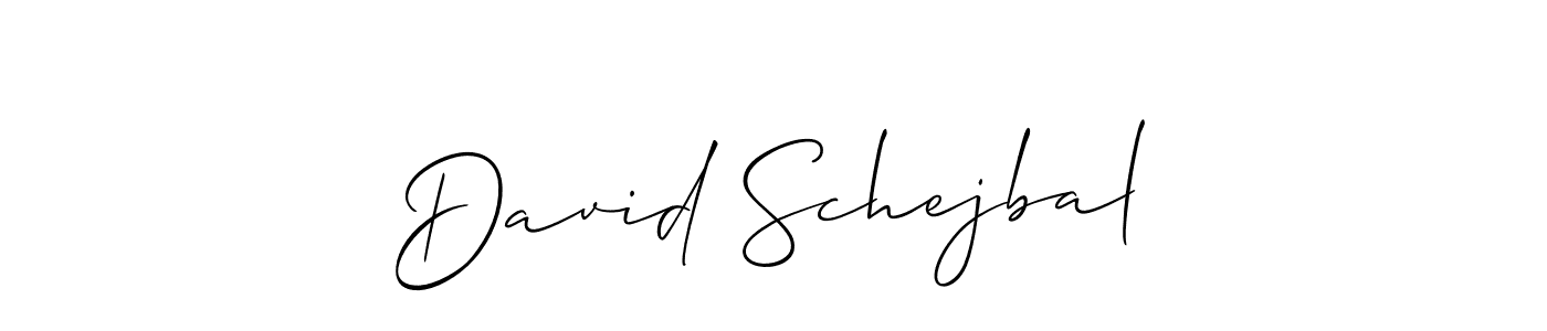 You should practise on your own different ways (Allison_Script) to write your name (David Schejbal) in signature. don't let someone else do it for you. David Schejbal signature style 2 images and pictures png