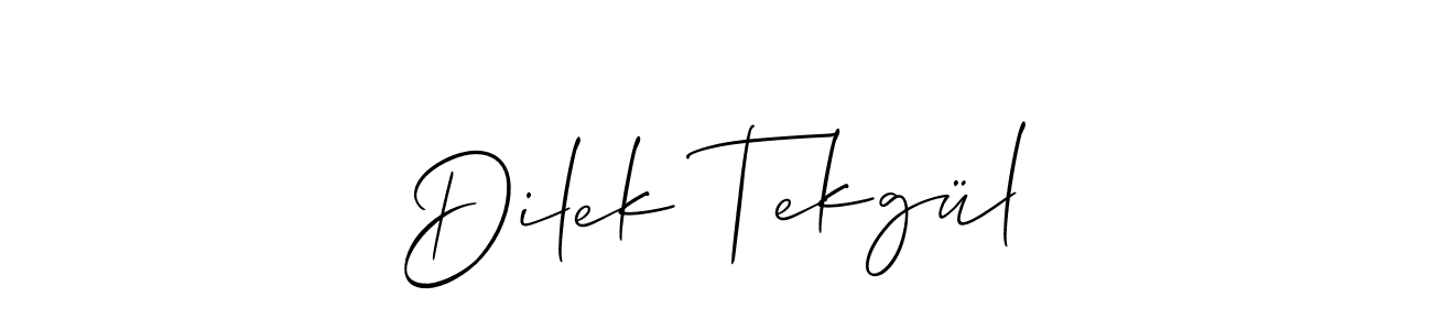 You should practise on your own different ways (Allison_Script) to write your name (Dilek Tekgül) in signature. don't let someone else do it for you. Dilek Tekgül signature style 2 images and pictures png
