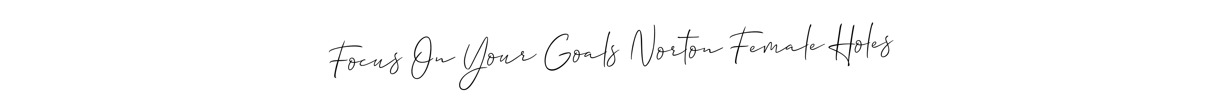 You can use this online signature creator to create a handwritten signature for the name Focus On Your Goals Norton Female Holes. This is the best online autograph maker. Focus On Your Goals Norton Female Holes signature style 2 images and pictures png