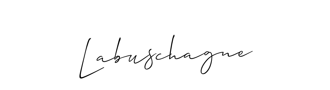This is the best signature style for the Labuschagne name. Also you like these signature font (Allison_Script). Mix name signature. Labuschagne signature style 2 images and pictures png