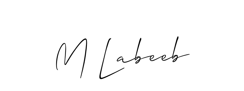 Make a beautiful signature design for name M Labeeb. Use this online signature maker to create a handwritten signature for free. M Labeeb signature style 2 images and pictures png