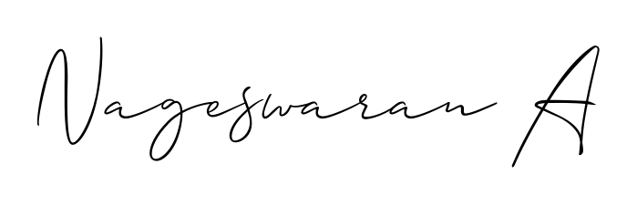 Best and Professional Signature Style for Nageswaran A. Allison_Script Best Signature Style Collection. Nageswaran A signature style 2 images and pictures png