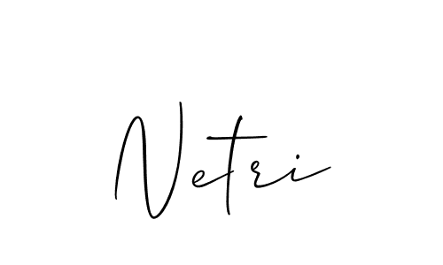 It looks lik you need a new signature style for name Netri. Design unique handwritten (Allison_Script) signature with our free signature maker in just a few clicks. Netri signature style 2 images and pictures png