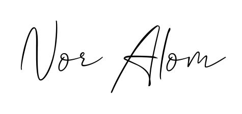 The Allison_Script lettering style adds unique flourish to name Nor Alom. Stand out with a custom digital autograph made in seconds. Nor Alom signature style 2 images and pictures png