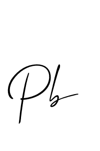 You should practise on your own different ways (Allison_Script) to write your name (Pb) in signature. don't let someone else do it for you. Pb signature style 2 images and pictures png