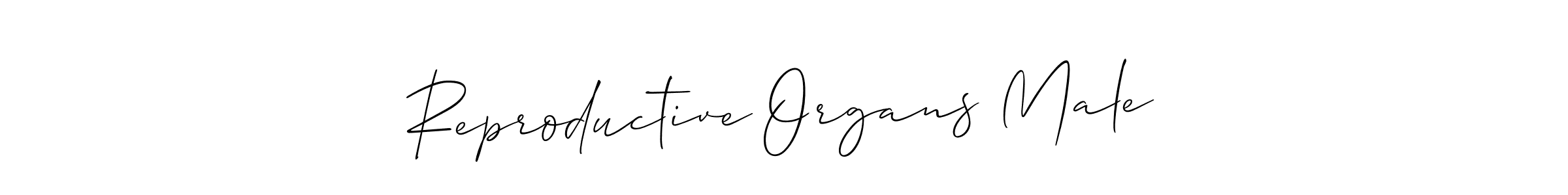 Here are the top 10 professional signature styles for the name Reproductive Organs Male. These are the best autograph styles you can use for your name. Reproductive Organs Male signature style 2 images and pictures png