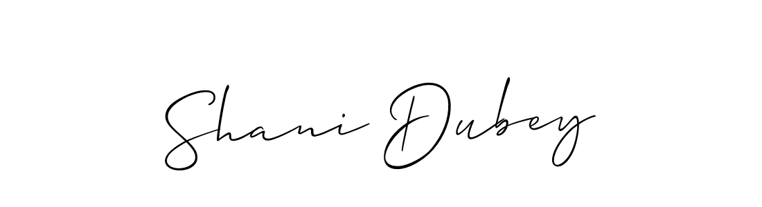 Make a beautiful signature design for name Shani Dubey. Use this online signature maker to create a handwritten signature for free. Shani Dubey signature style 2 images and pictures png